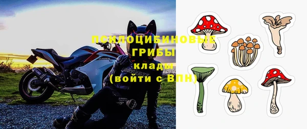 ешки Кукмор